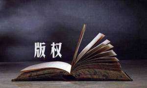 軟件著作權的價值演化趨勢及其成因分析