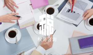 蕪湖繁昌區(qū)稅務(wù)咨詢提供的四種信息