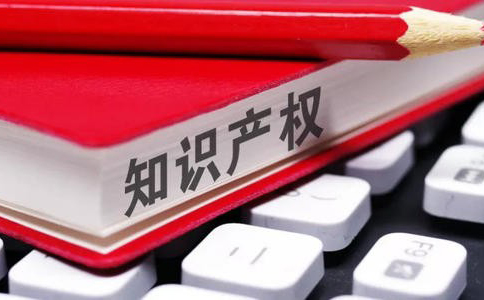 專利被侵權后如何維護?