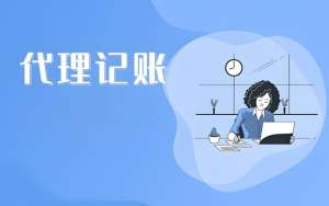 蕪湖財稅服務收費細節中,官方費用和代理費用是分開的嗎？